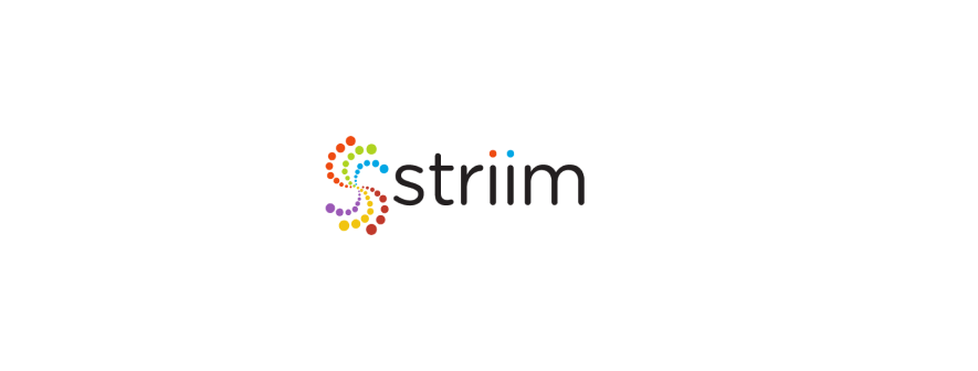 <h3>Striim</h3>